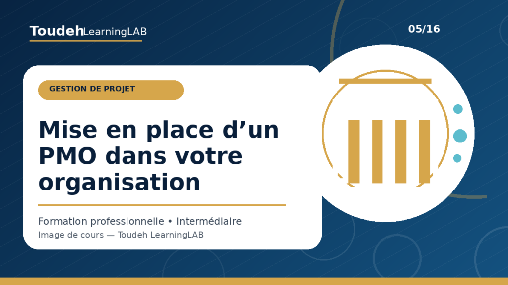 05_mise-en-place-pmo-organisation