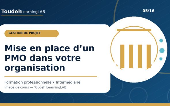 05_mise-en-place-pmo-organisation