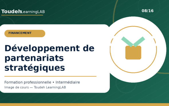 08_developpement-partenariats-strategiques