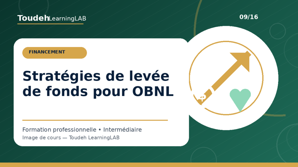 09_strategies-levee-fonds-obnl
