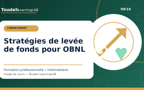 09_strategies-levee-fonds-obnl