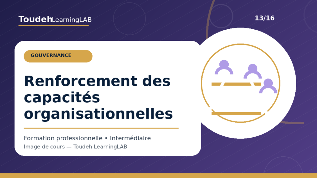 13_renforcement-capacites-organisationnelles