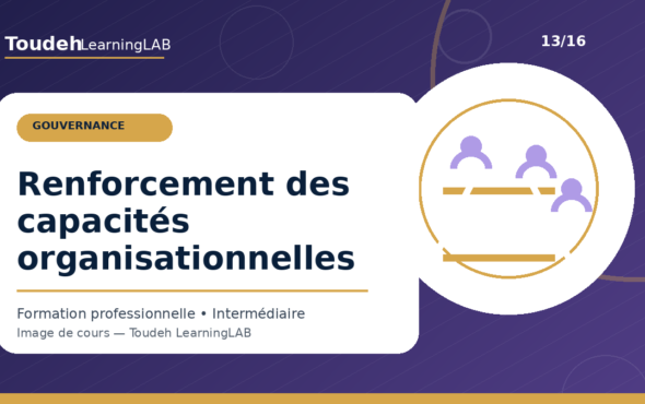 13_renforcement-capacites-organisationnelles