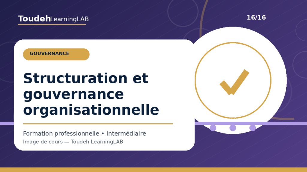 16_structuration-gouvernance-organisationnelle