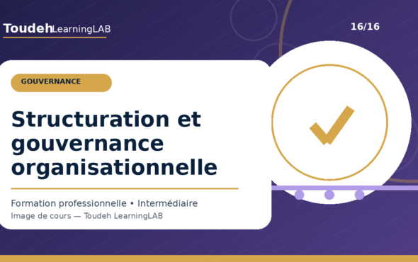 16_structuration-gouvernance-organisationnelle